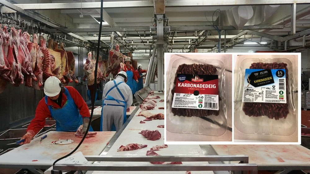 Nordfjord kjøtt innfelt karbonadedeig foto ogne