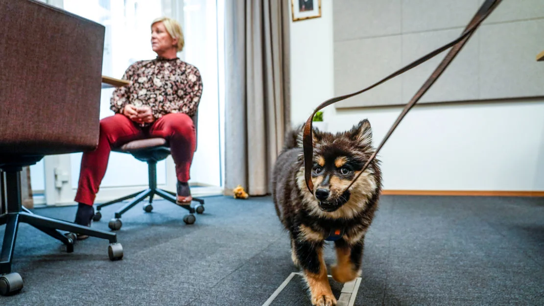 IKKJE BRUK NTB Ai8ap OC4y DA 1