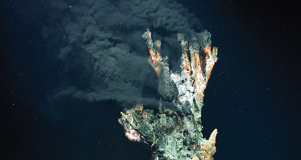 Varm kjelde skorstein havbotnen foto wikimedia commons 11