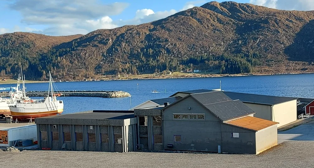 Tango Seaweed Haugsbygda