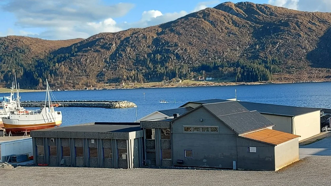 Tango Seaweed Haugsbygda