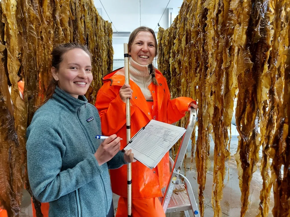 Tango Seaweed Cecilia Vibe og Kristin Smeby