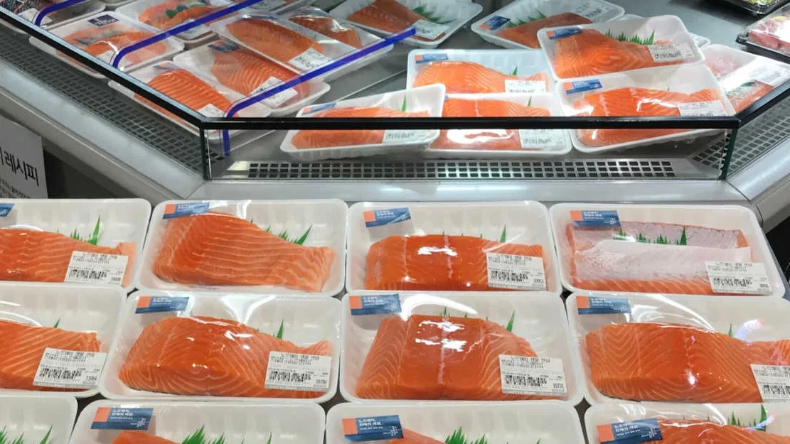 Fiskedisk asia foto Sjømatrådet