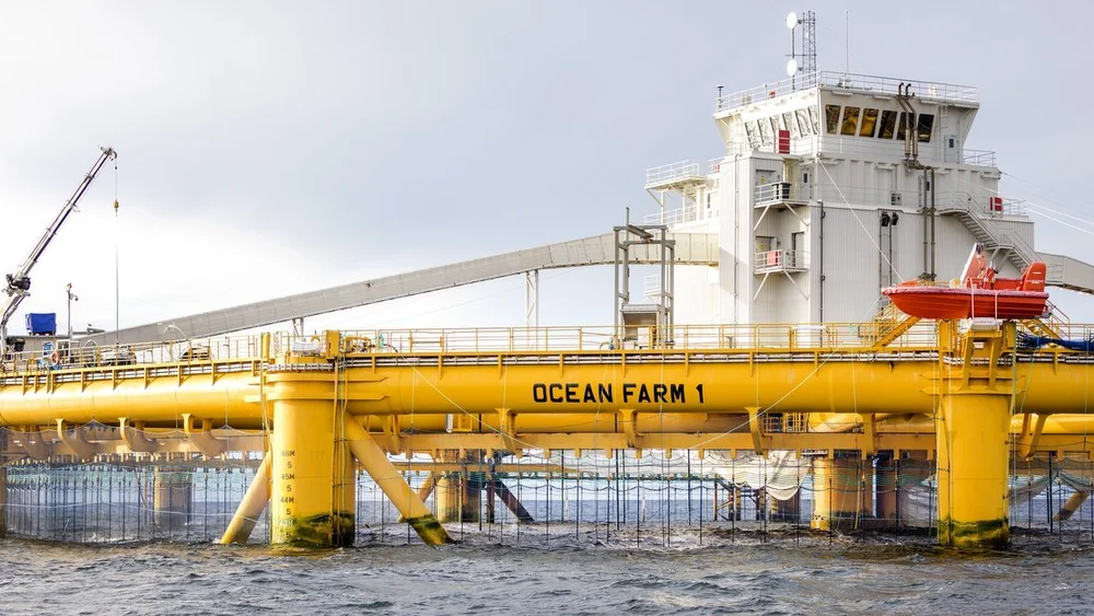 Oceanfarm Salmar foto Gorm Kallestad NTB