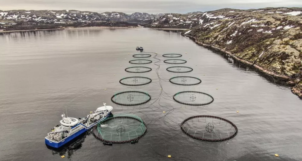 Russian Aquaculture Murmansk Ro Fortune foto Russian Aquaculture 22