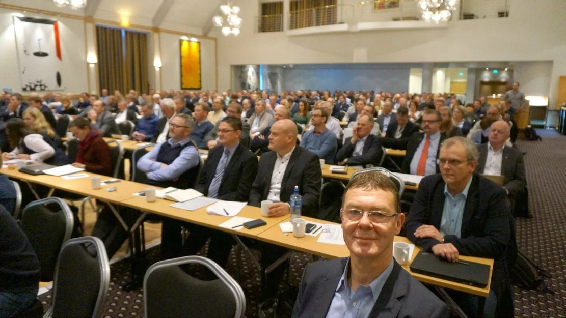 Fisk i medvind