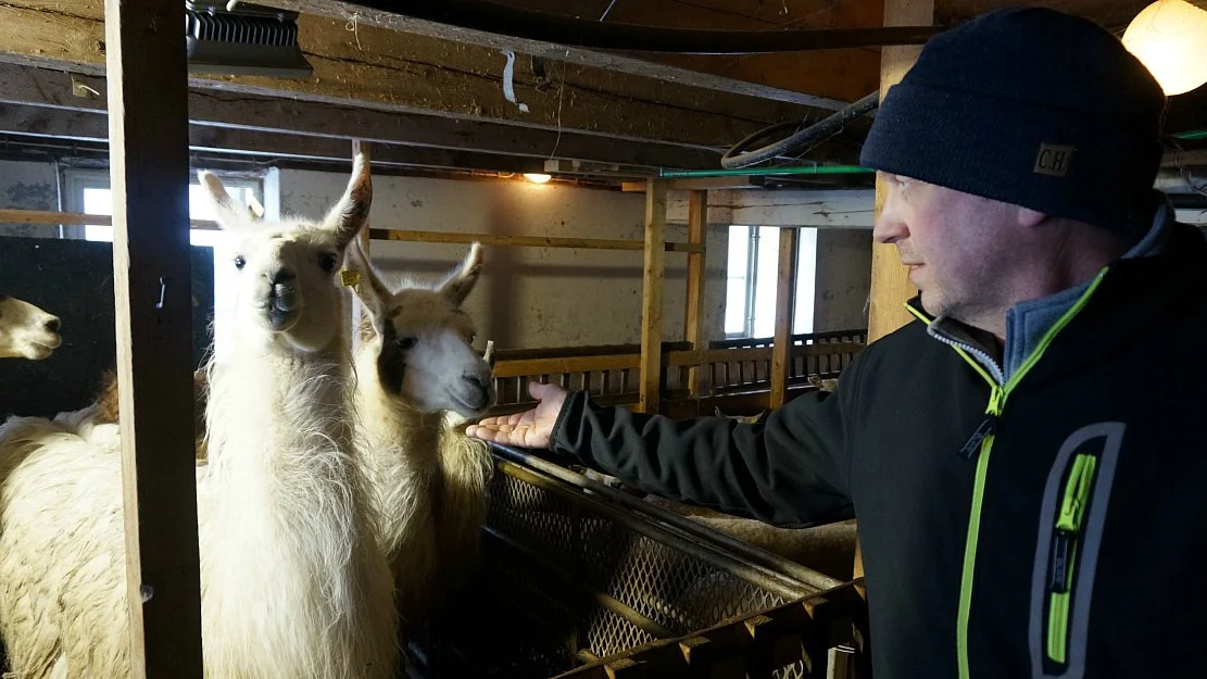Geiranger kan bli banebrytande