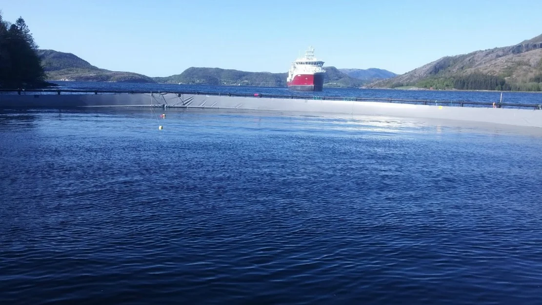 Avgift til lita nytte