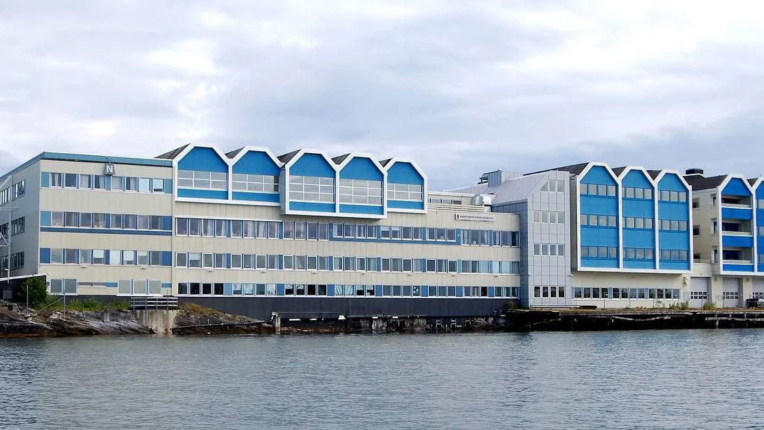 Haarreisande ko ko veir i saksa der du bur