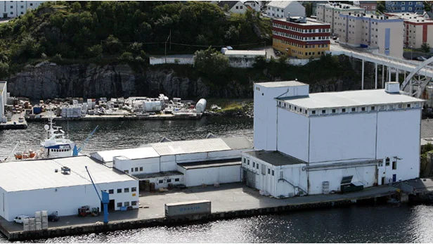 Sunnmøre fiskeindustri