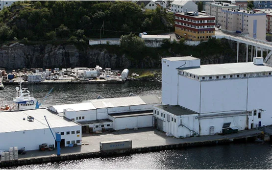 Sunnmøre fiskeindustri