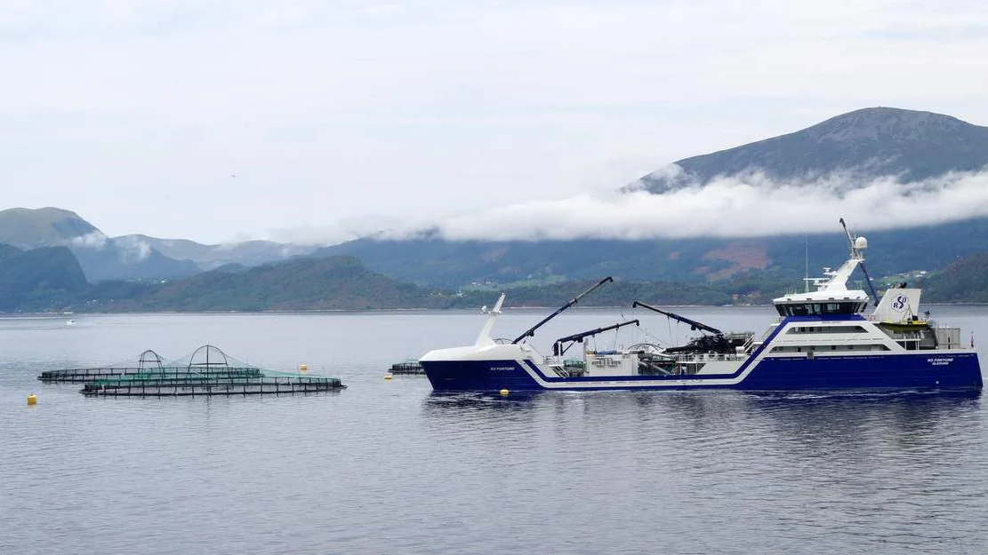 Kjemikaliebruken stuper i oppdrett