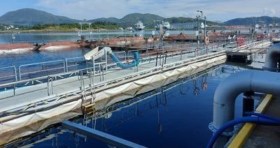 Mowi Eggesbønes ventemerd 434fb818c78128e5eb05172d83d6a5f1