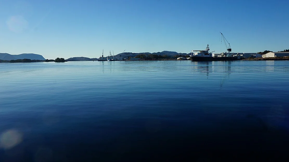 Over landsgjennomsnittet dessverre