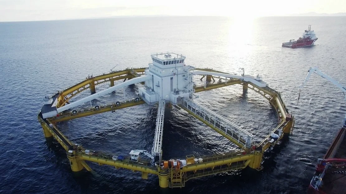 Flest skuffelsar etter soeknadsboom