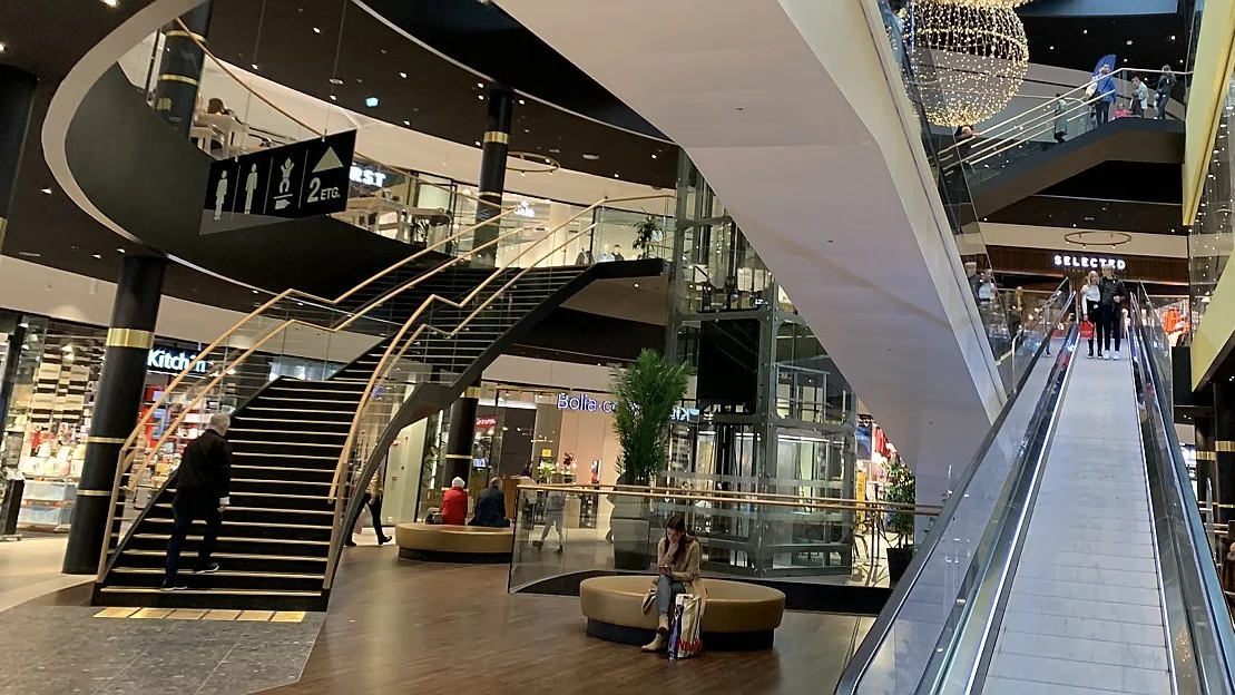 Amfi moa illustrasjon foto marius