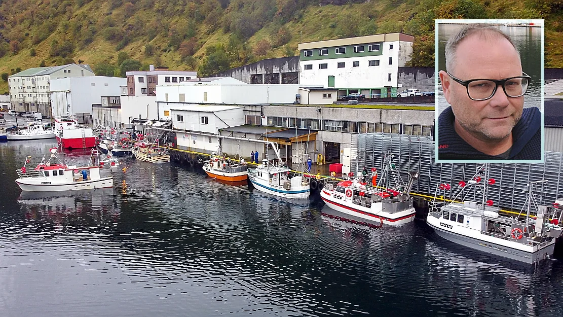 Makrellbonanza for lokale fiskarar