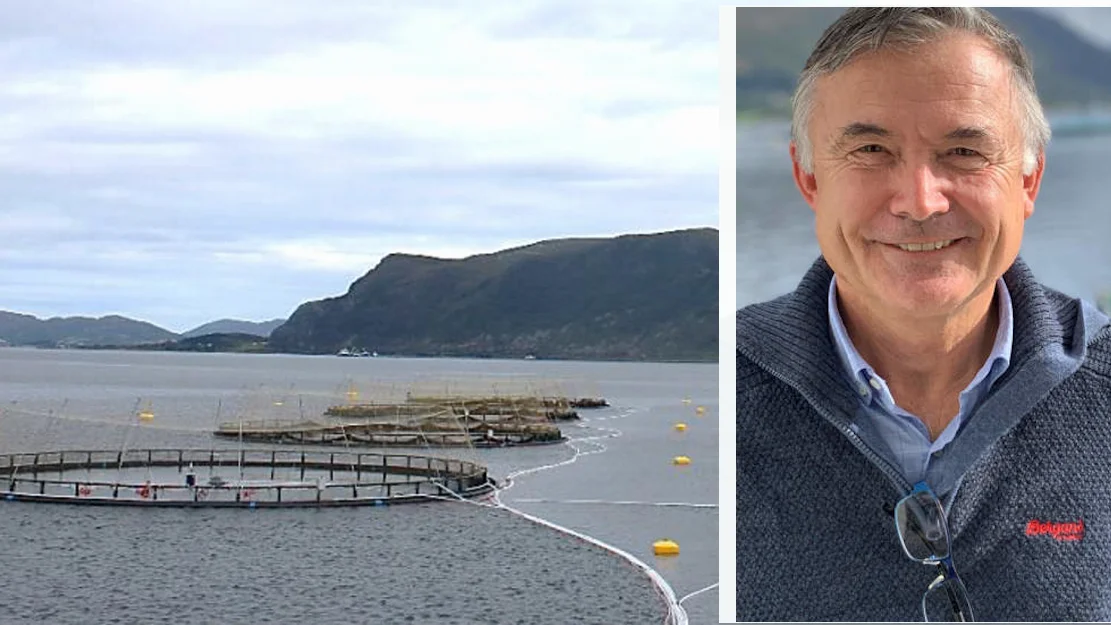 Statt torsk montasje gustave brun lie rekvika foto statt torsk 11