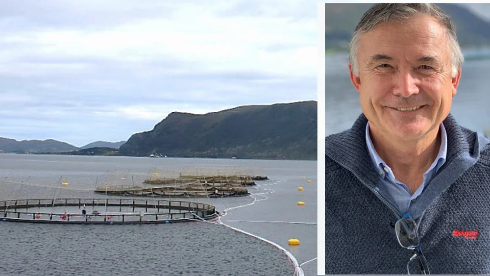 Statt torsk montasje gustave brun lie rekvika foto statt torsk 11