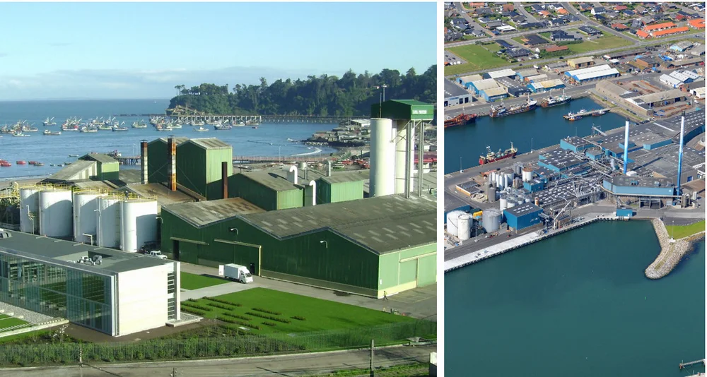 Koppernæs montasje Triplenine Chile Danmark foto Triplenine 11