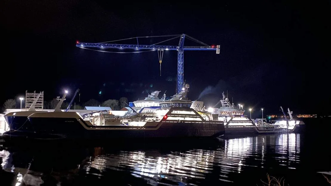 Nesten full stopp utan oppdrett