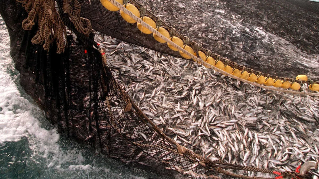 NTB wfgxd Ey O Rs U IKJJE BRUK