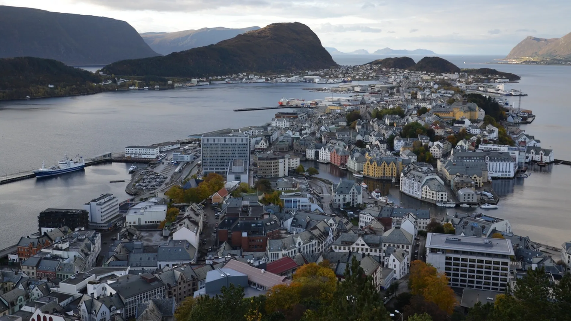 Slaktar Norden rosar A Alesund