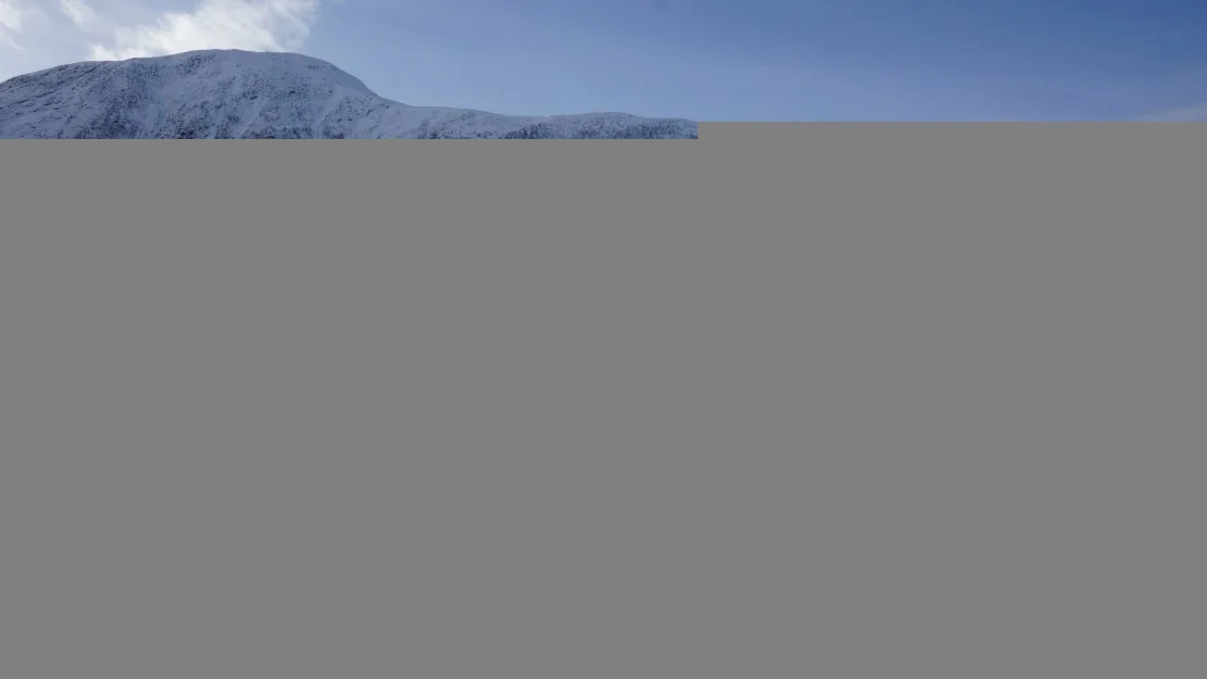 Banken kan faa komfyrfabrikken