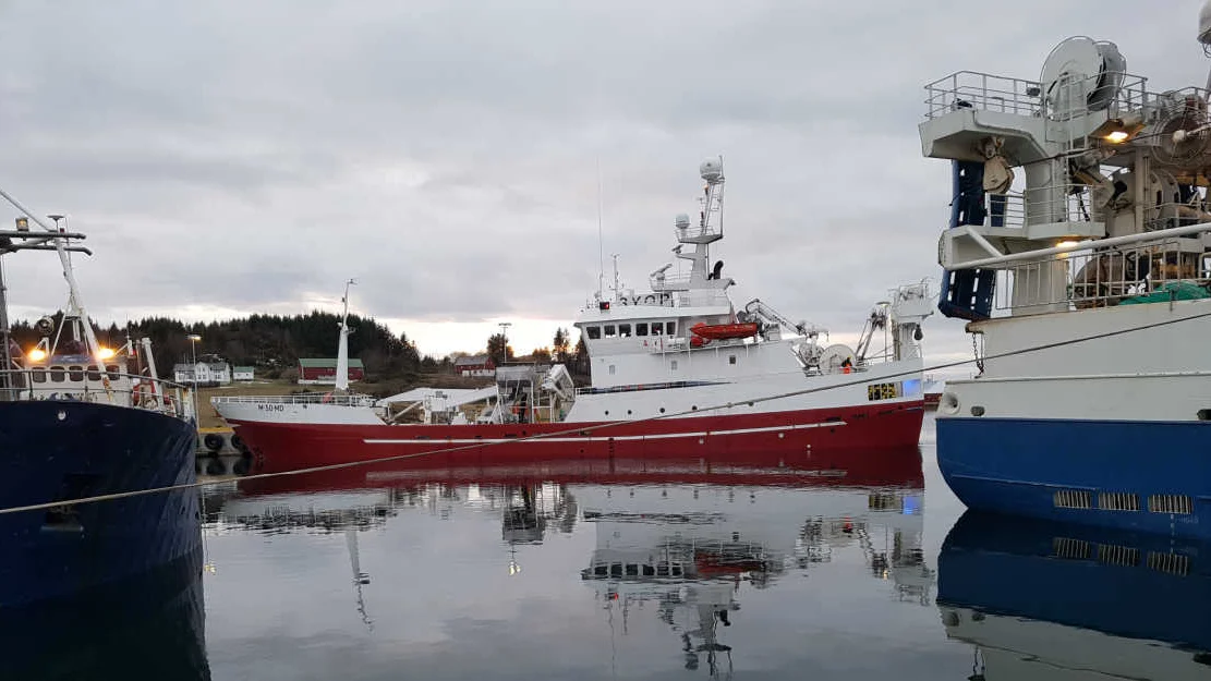 Fiskebåtar foto Bernt Brandal