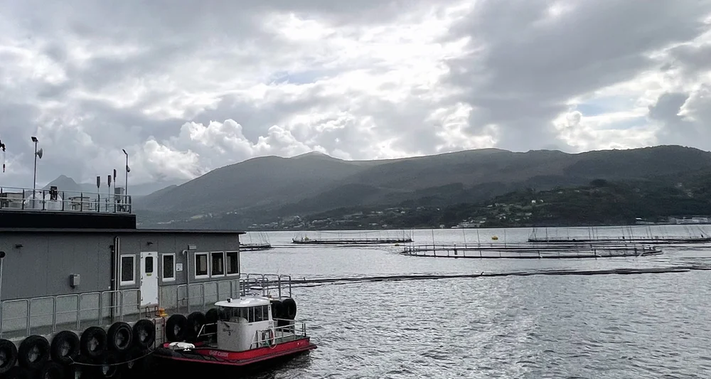 Oppdrett hofseth storfjorden 11