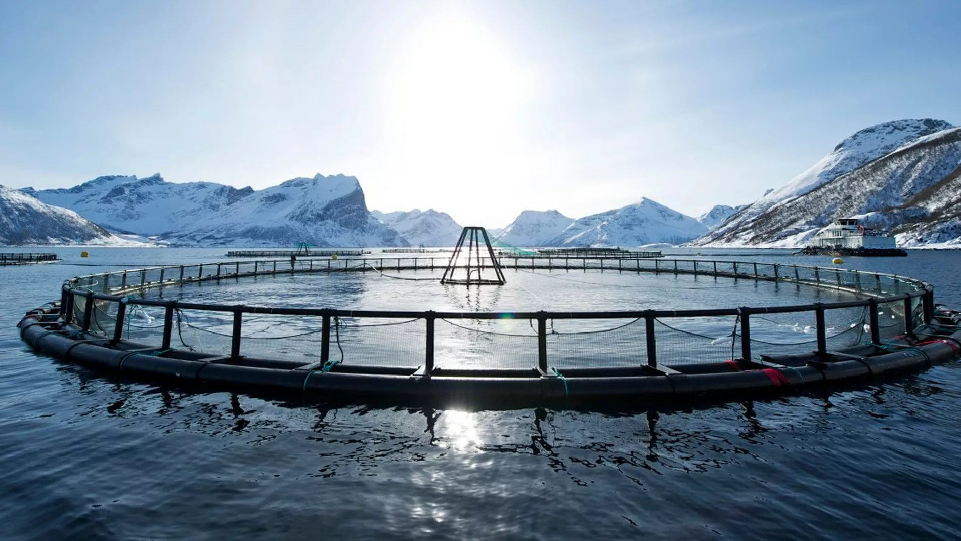 Coast Seafood siktar mot fire milliardar