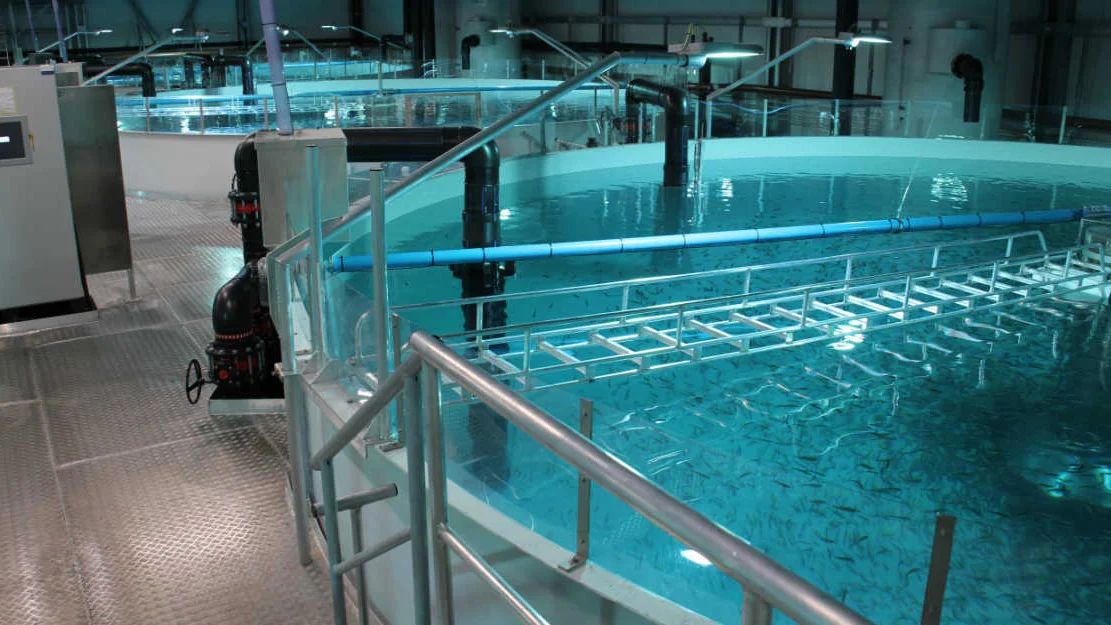 Entec anlegg i Salten foto Entec