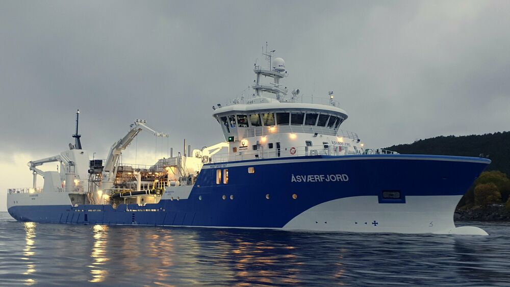 Åsværfjord Havyard