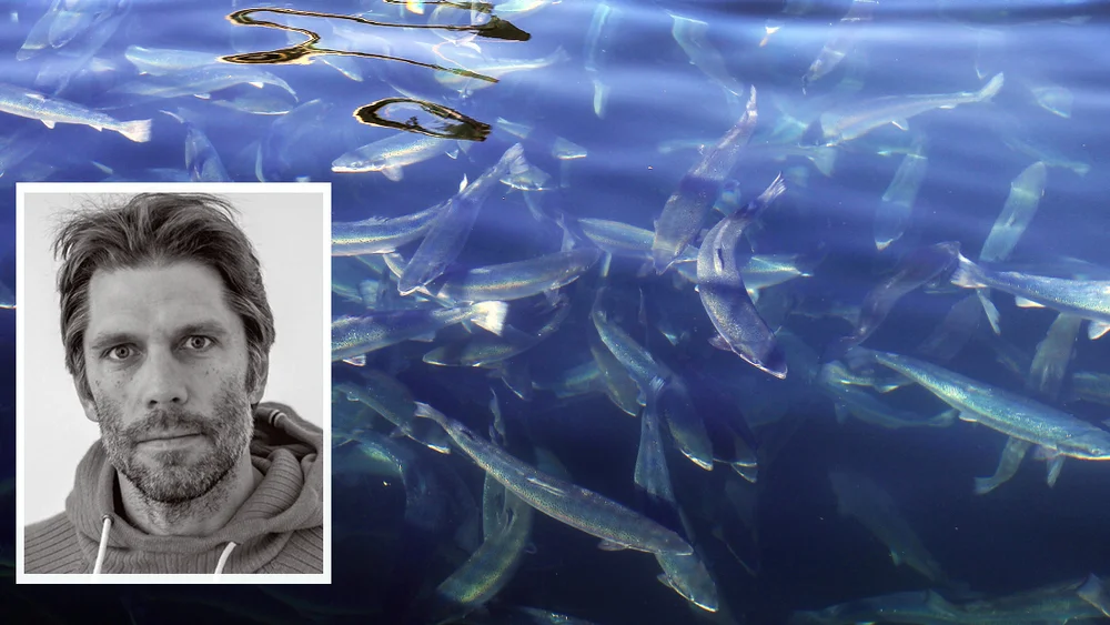 Oppdrett ntb sak innfelt kjetil østli ikk gjenbruk 11