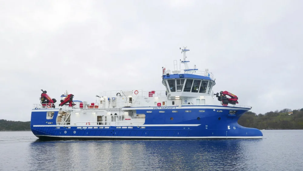 Volt Harvest II foto Volt Harvest