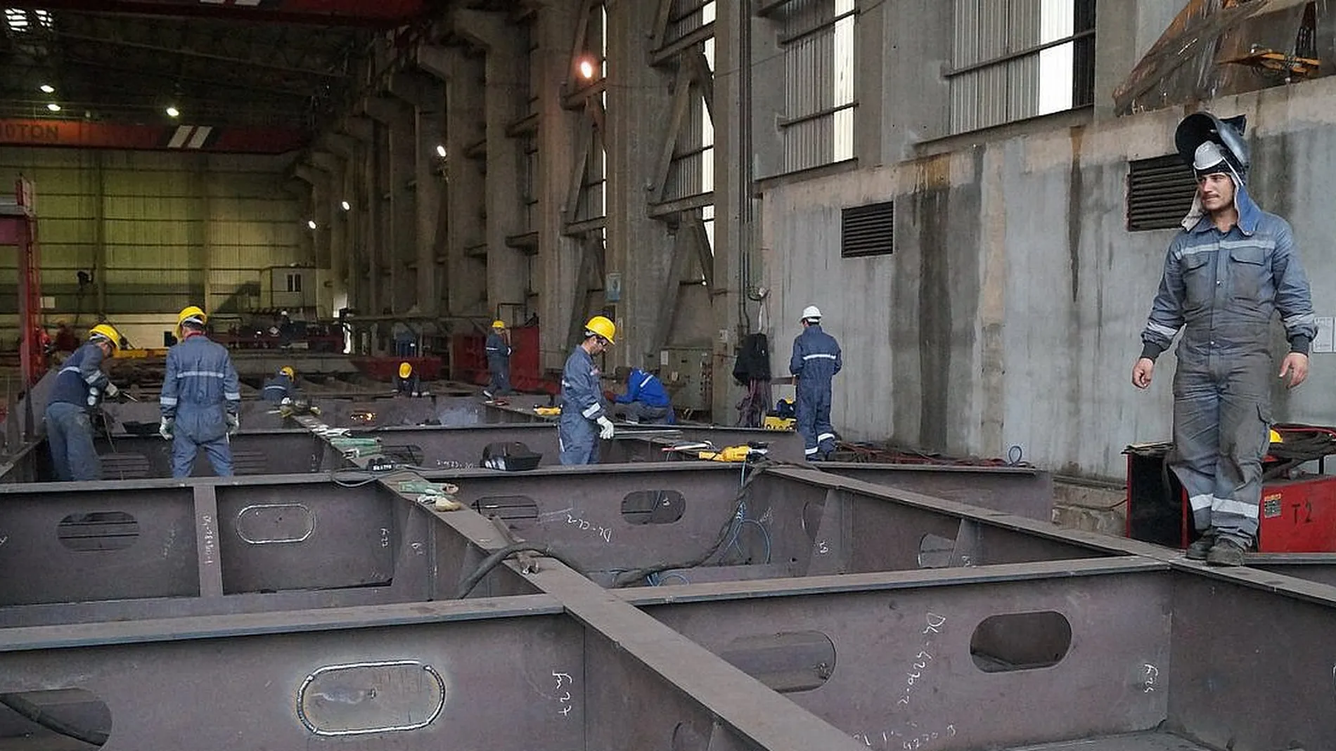 Stor tyrkisk loensauke