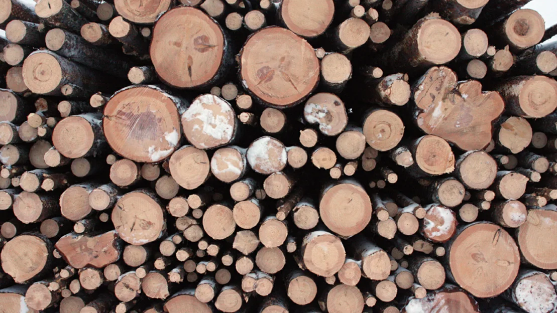 Tømmer skogbruk illustrasjon foto Avanninen wikimedia commons 11