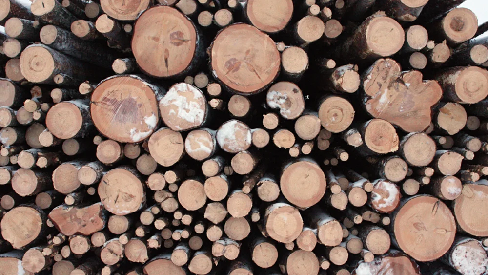 Tømmer skogbruk illustrasjon foto Avanninen wikimedia commons 11