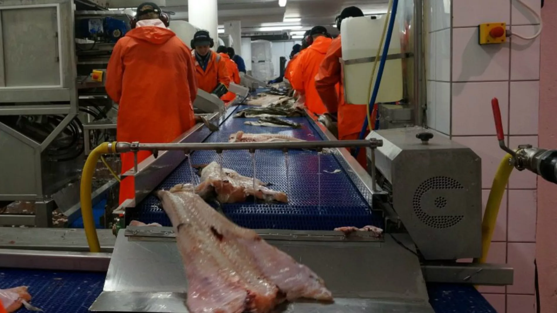 Naa blir minsteloenn i fiskeindustrien lovfestet