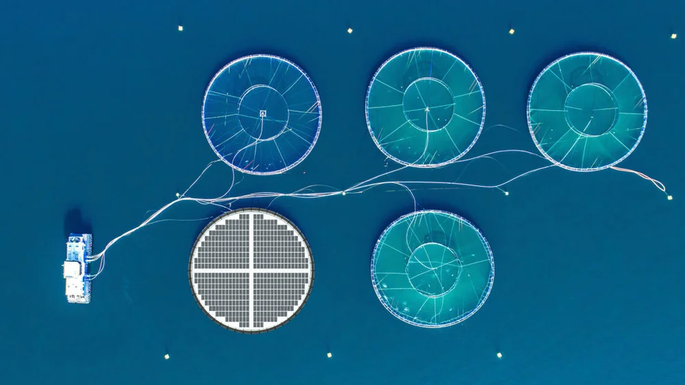 Sub Solar frå Inseanergy foto Inseanergy