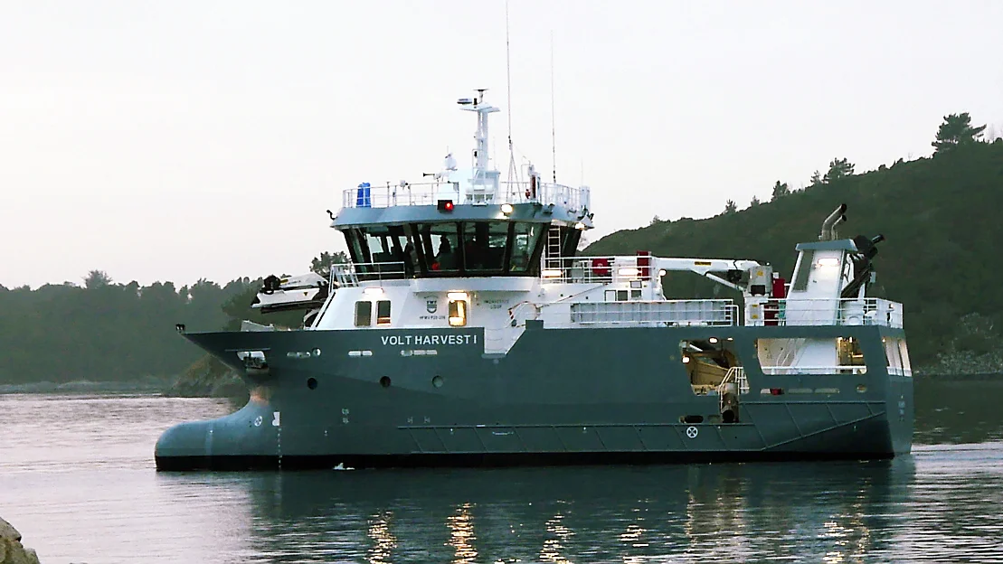 Volt harvest I foto Volt Services 11