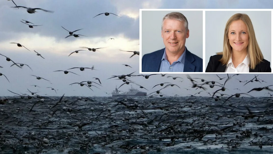 Fiskeri innfelt hanna bauge audun maråk llustrasjon foto Havfisk Fiskebåt 11