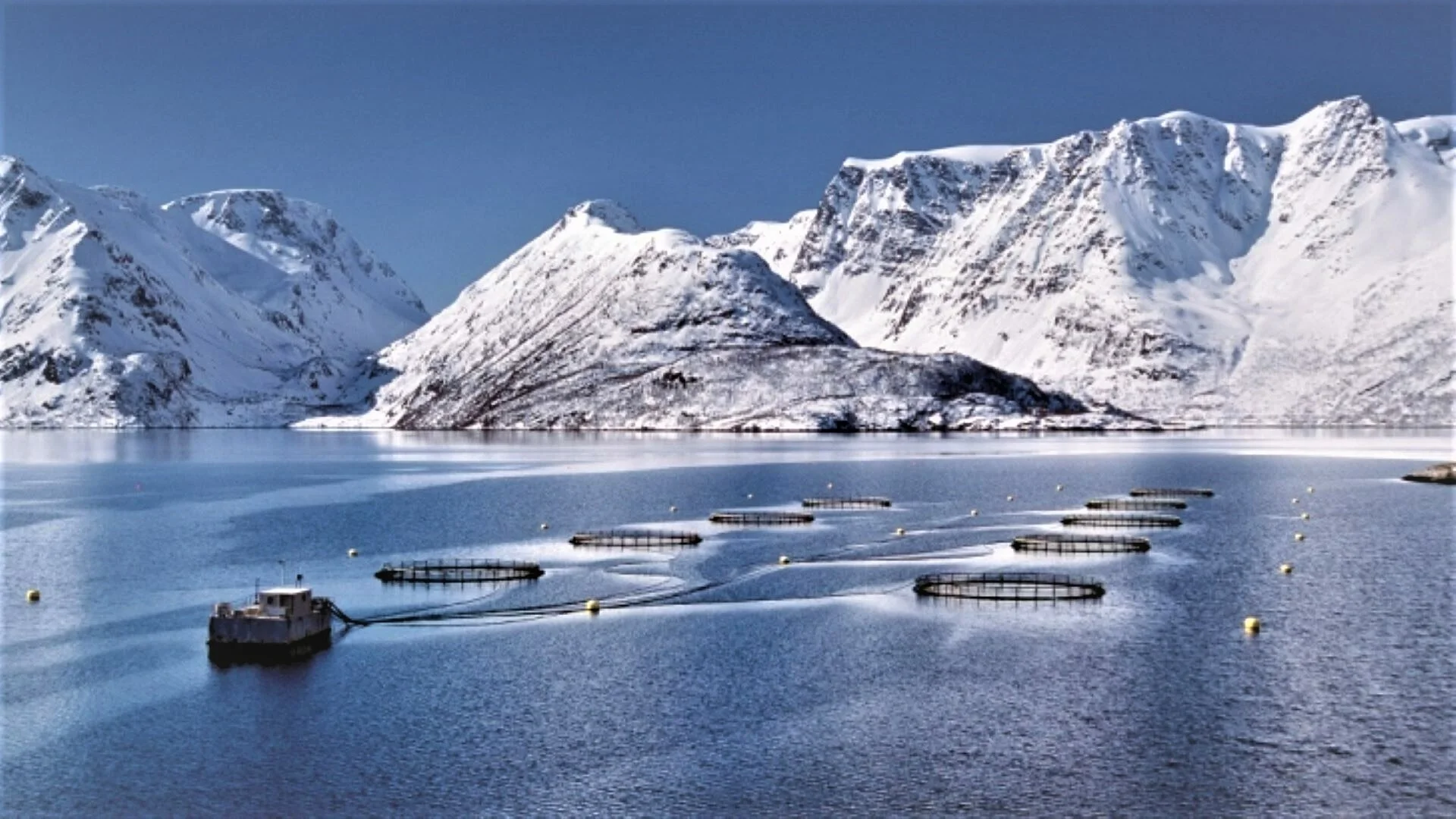 Med snø og størrelse