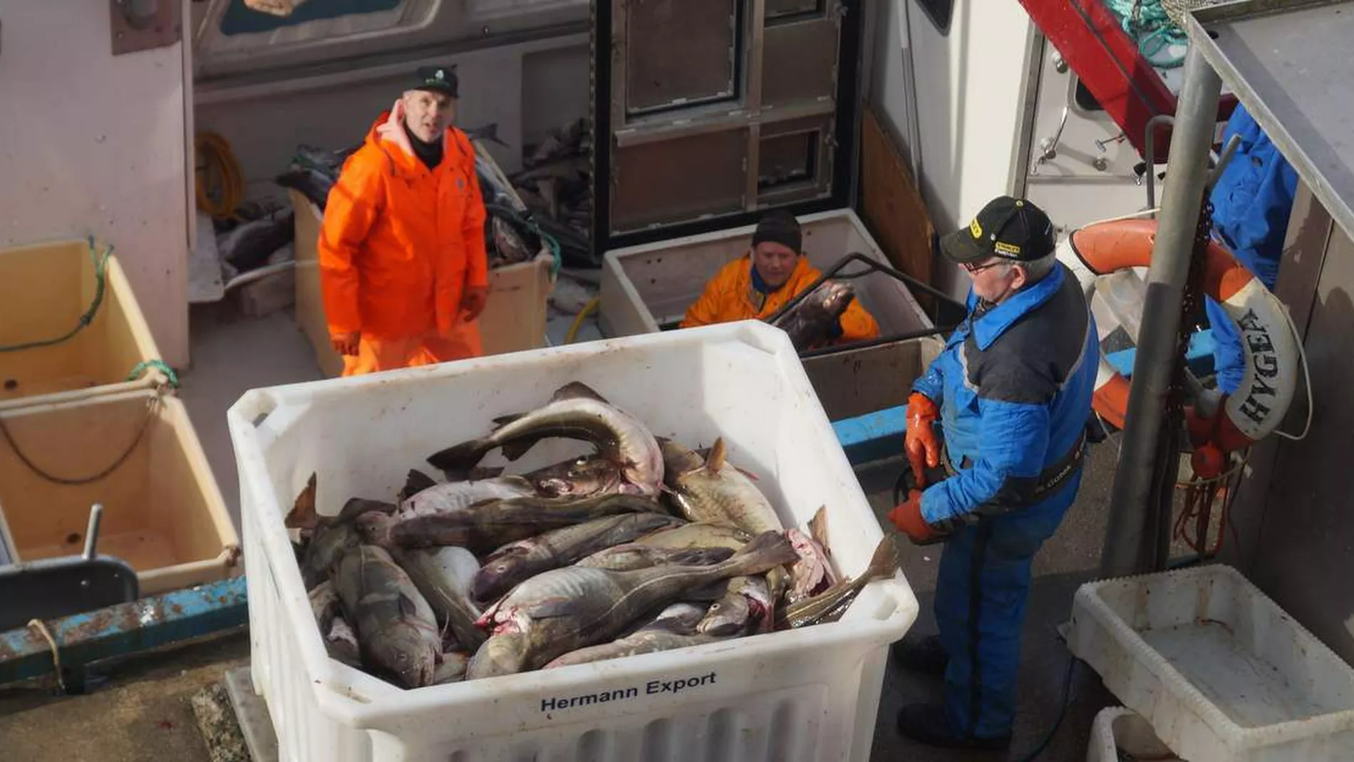 Naermar seg fjoraaret i fangstverdi
