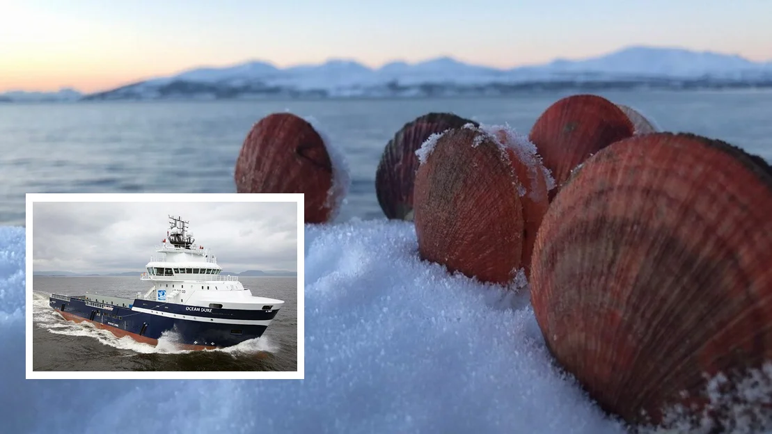 Tau tech haneskjell innfelt arctic pearl foto tau tech vestland offshore 11