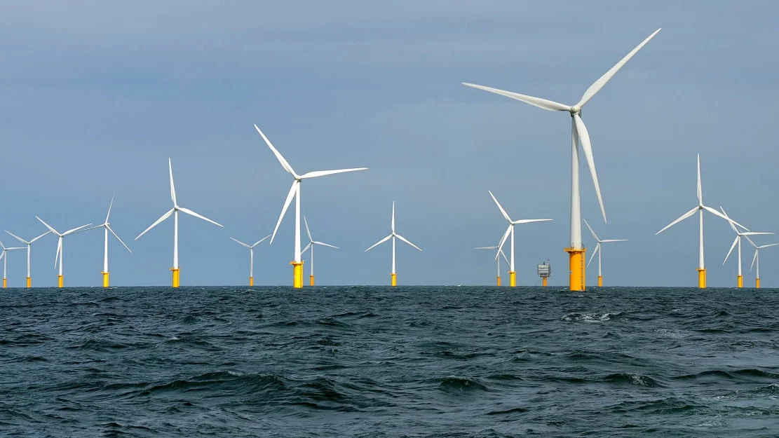 Belwind Windfarm Belgia foto Wikimedia Commons