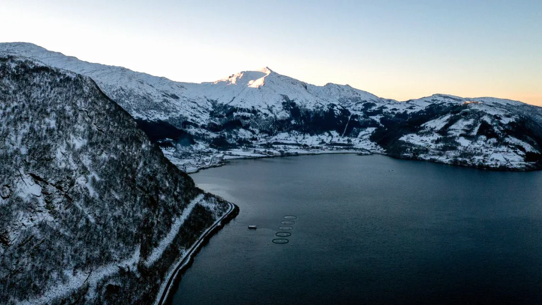 Gadus davik foto gadus group 11