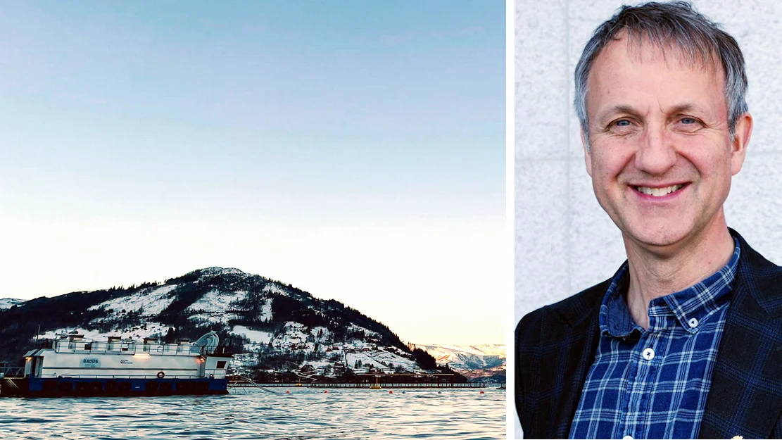 Gadus davik innfelt tore johan øvstebø foto gadus group krf 11