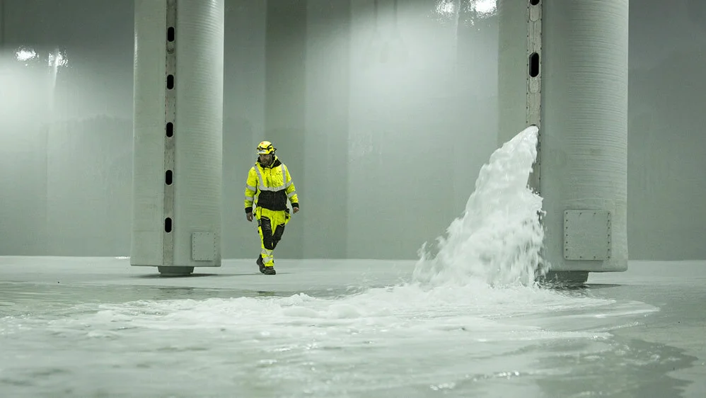 Salmon evolution Indre Haroy vann i kar foto salmon evolution 11