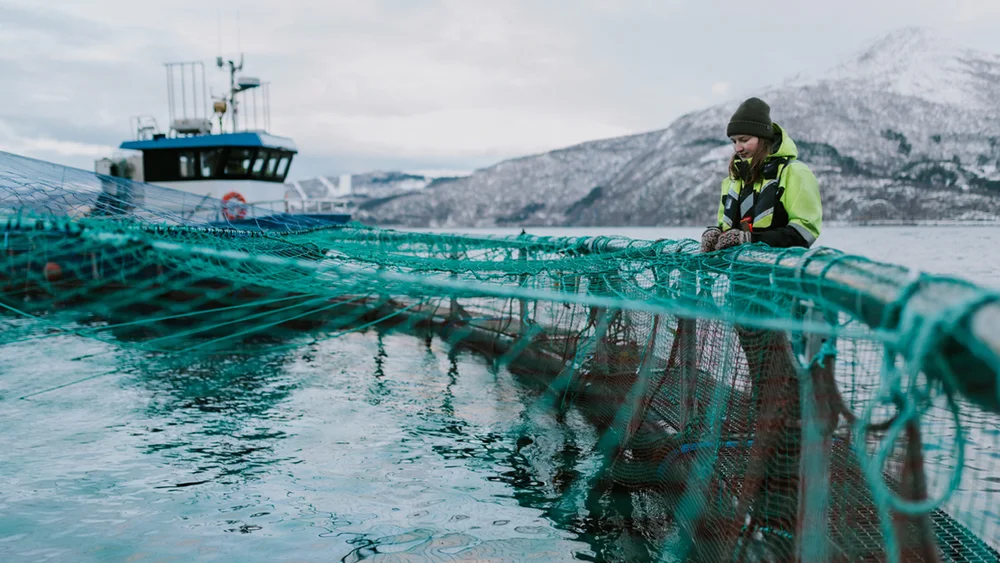 Kristin Uv Ramsli gadus group Foto Tone Molnes 11